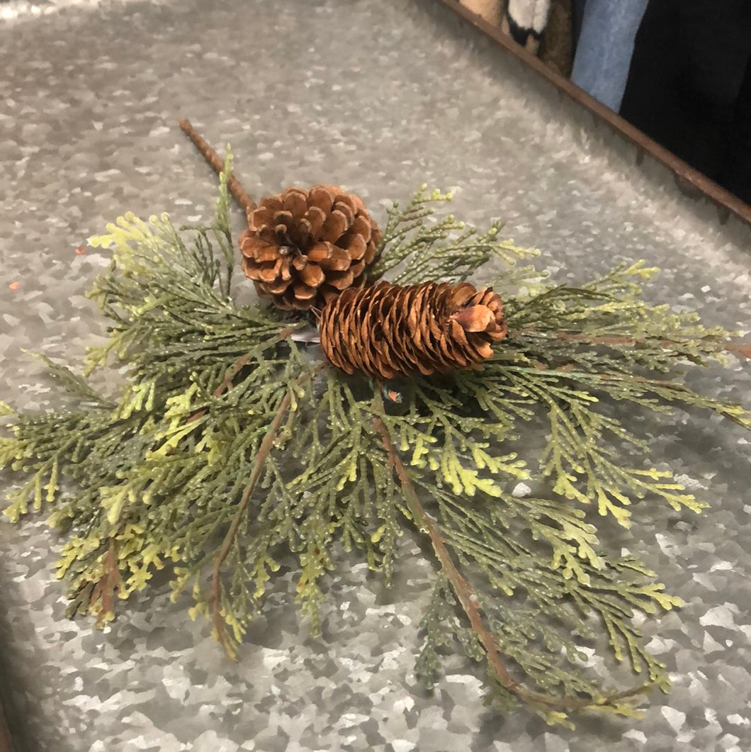 Cedar Pinecones Branch